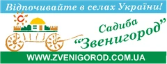 Zvenigorod rural estate