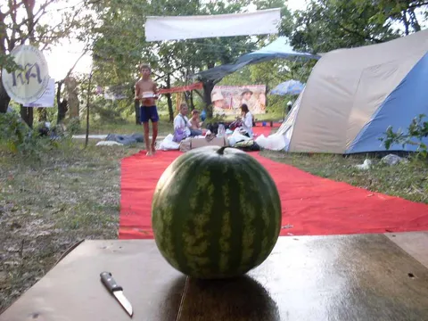 «Острів скарбів — Острів розвитку» 2010: фото 10 з 10