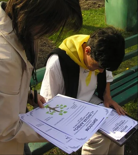 Planting of the city’s Language Alley: photo 13 of 21
